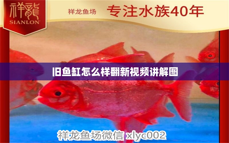 舊魚缸怎么樣翻新視頻講解圖 祥龍魚場(chǎng)