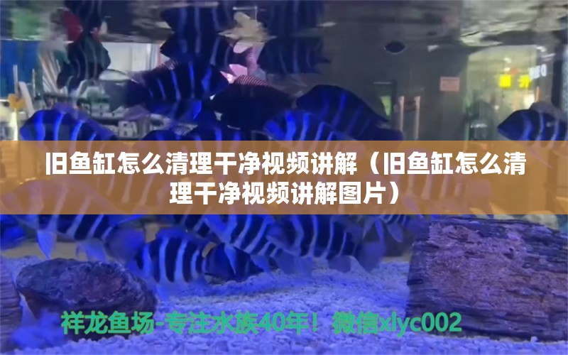 舊魚缸怎么清理干凈視頻講解（舊魚缸怎么清理干凈視頻講解圖片）