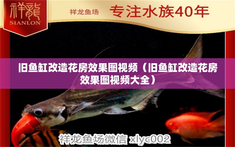 舊魚(yú)缸改造花房效果圖視頻（舊魚(yú)缸改造花房效果圖視頻大全）