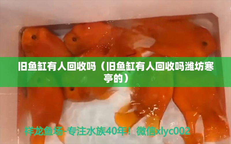 舊魚缸有人回收嗎（舊魚缸有人回收嗎濰坊寒亭的） 觀賞魚 第1張