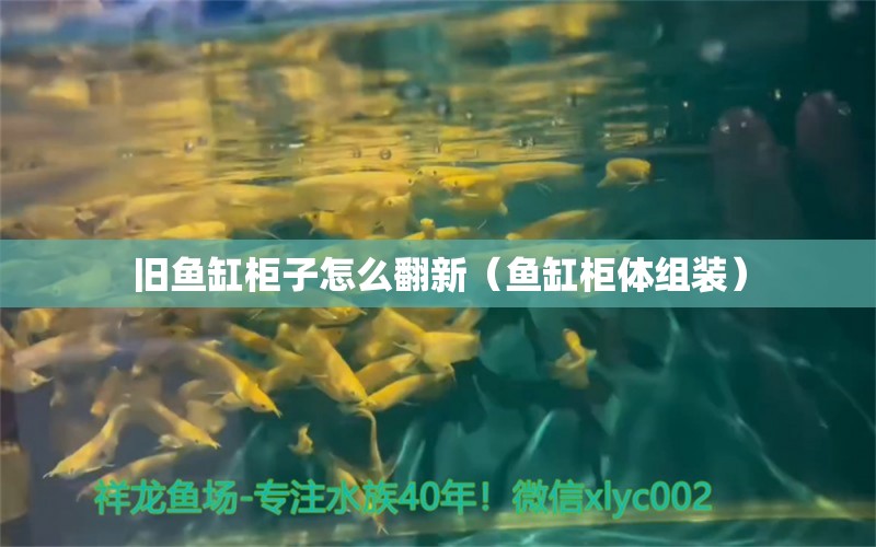 舊魚缸柜子怎么翻新（魚缸柜體組裝）