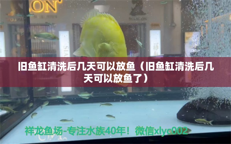 舊魚缸清洗后幾天可以放魚（舊魚缸清洗后幾天可以放魚了）