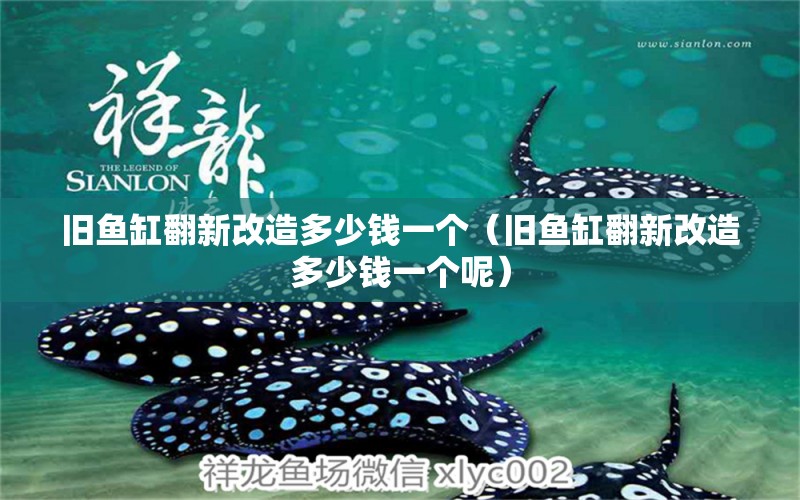 舊魚缸翻新改造多少錢一個（舊魚缸翻新改造多少錢一個呢）