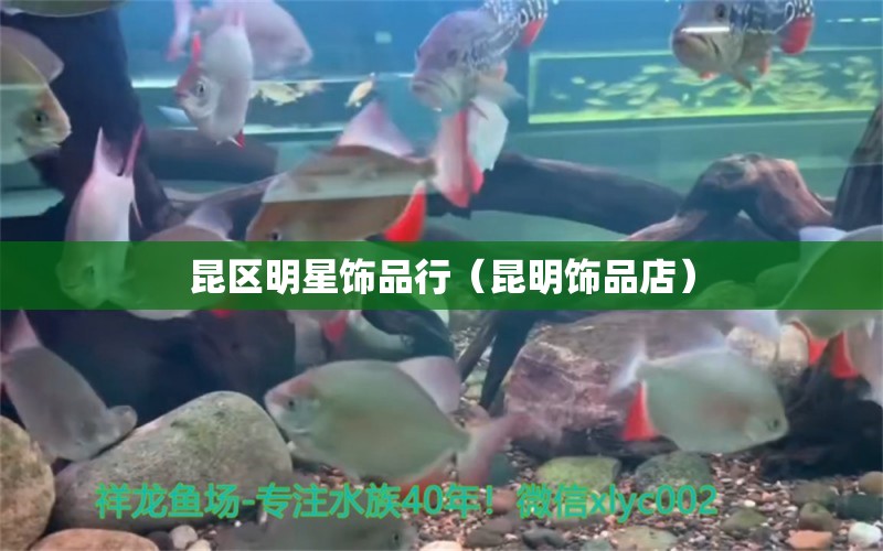 昆區(qū)明星飾品行（昆明飾品店） 全國水族館企業(yè)名錄