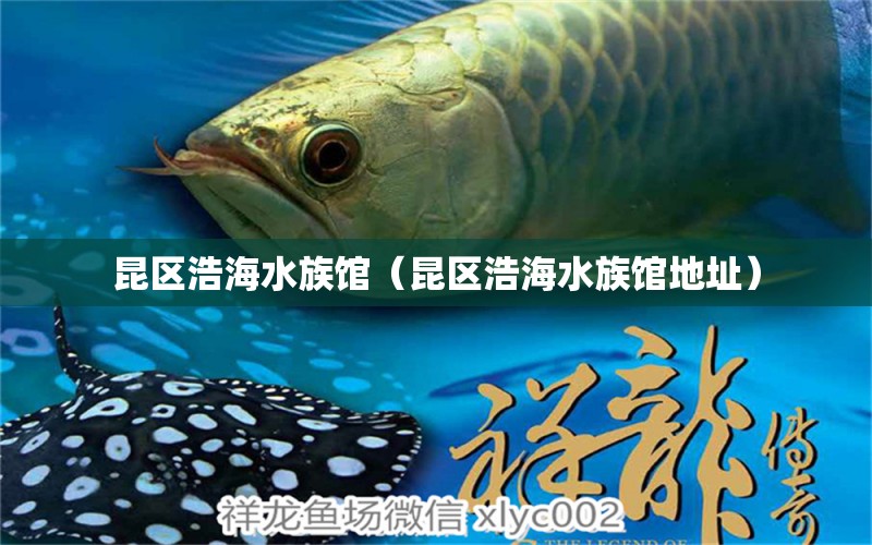 昆區(qū)浩海水族館（昆區(qū)浩海水族館地址） 全國水族館企業(yè)名錄