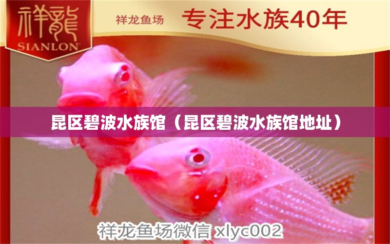 昆區(qū)碧波水族館（昆區(qū)碧波水族館地址） 全國水族館企業(yè)名錄