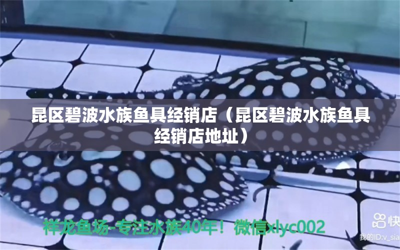 昆區(qū)碧波水族魚(yú)具經(jīng)銷店（昆區(qū)碧波水族魚(yú)具經(jīng)銷店地址） 全國(guó)水族館企業(yè)名錄