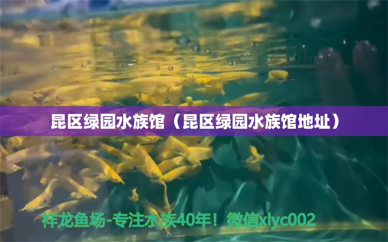 昆區(qū)綠園水族館（昆區(qū)綠園水族館地址） 全國水族館企業(yè)名錄