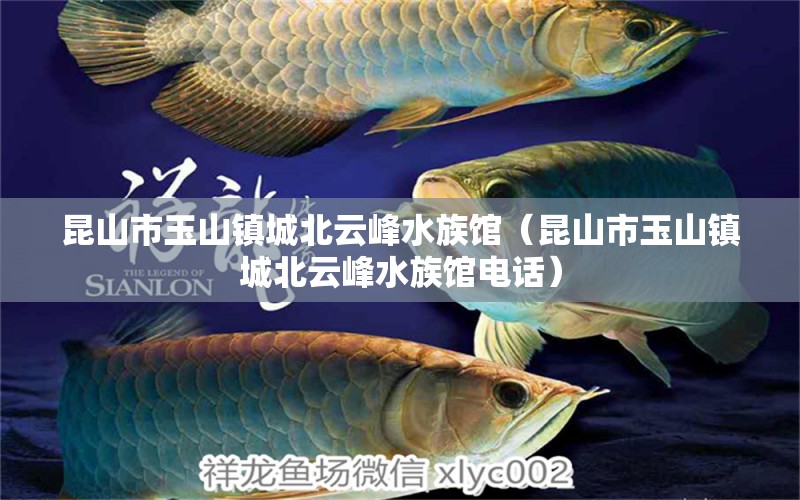 昆山市玉山鎮(zhèn)城北云峰水族館（昆山市玉山鎮(zhèn)城北云峰水族館電話） 全國(guó)水族館企業(yè)名錄