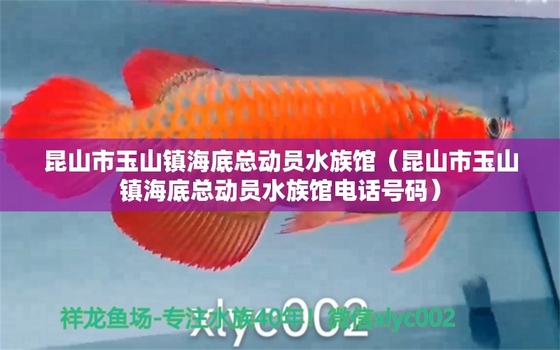 昆山市玉山鎮(zhèn)海底總動員水族館（昆山市玉山鎮(zhèn)海底總動員水族館電話號碼）