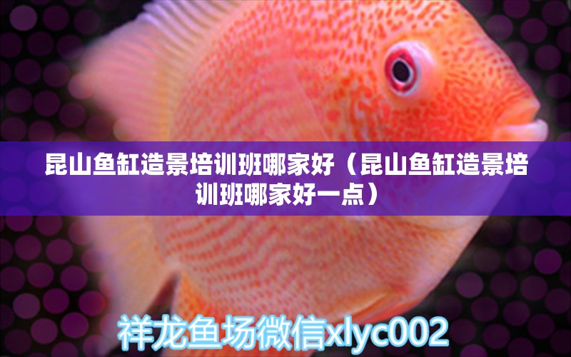 昆山魚缸造景培訓(xùn)班哪家好（昆山魚缸造景培訓(xùn)班哪家好一點(diǎn)） 觀賞魚市場(chǎng)（混養(yǎng)魚）