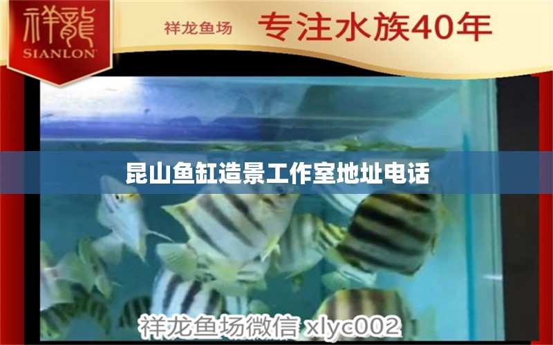 昆山魚缸造景工作室地址電話 申古銀版魚