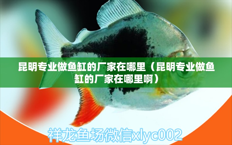 昆明專(zhuān)業(yè)做魚(yú)缸的廠(chǎng)家在哪里（昆明專(zhuān)業(yè)做魚(yú)缸的廠(chǎng)家在哪里?。? title=