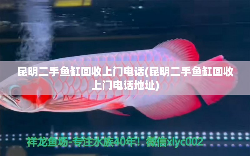 昆明二手魚缸回收上門電話(昆明二手魚缸回收上門電話地址) 其它水族用具設(shè)備