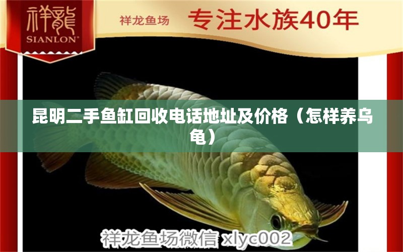 昆明二手魚缸回收電話地址及價格（怎樣養(yǎng)烏龜） 水族用品 第1張