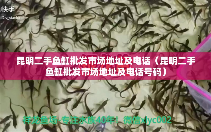 昆明二手魚缸批發(fā)市場(chǎng)地址及電話（昆明二手魚缸批發(fā)市場(chǎng)地址及電話號(hào)碼） 白化火箭