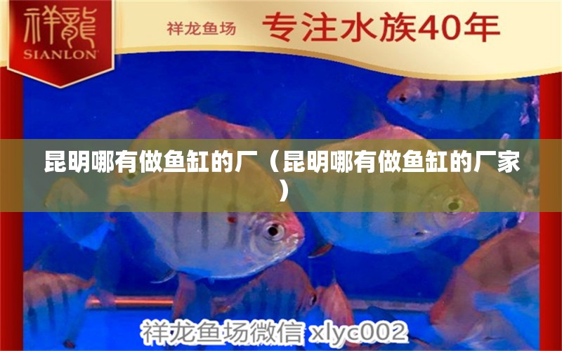 昆明哪有做魚缸的廠（昆明哪有做魚缸的廠家）