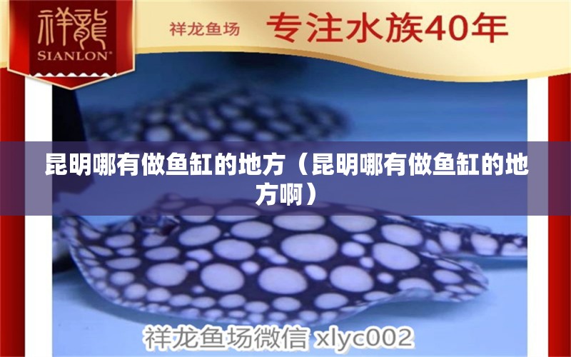 昆明哪有做魚缸的地方（昆明哪有做魚缸的地方?。?其他品牌魚缸