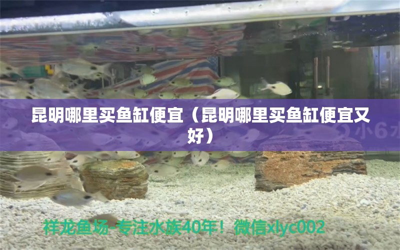 昆明哪里買魚缸便宜（昆明哪里買魚缸便宜又好）