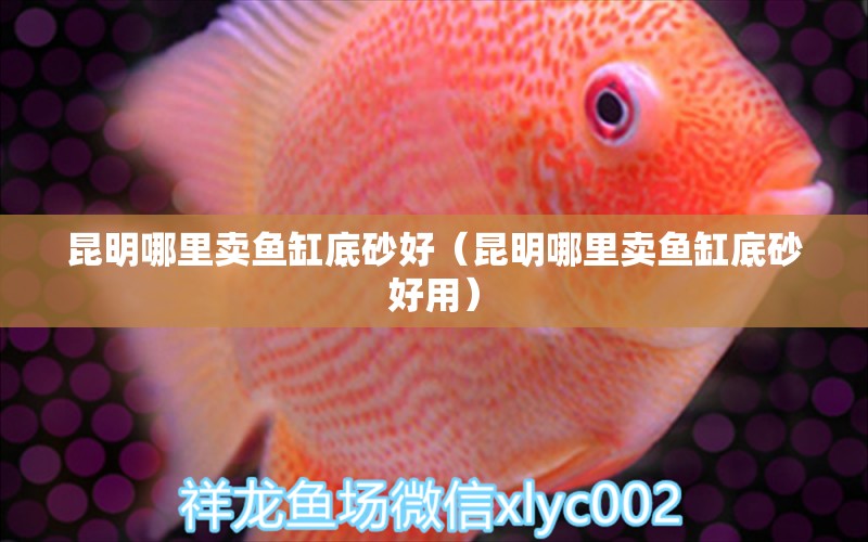 昆明哪里賣魚缸底砂好（昆明哪里賣魚缸底砂好用）