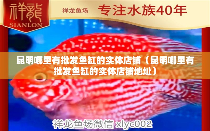 昆明哪里有批發(fā)魚缸的實體店鋪（昆明哪里有批發(fā)魚缸的實體店鋪地址）