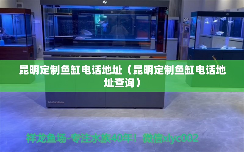 昆明定制魚(yú)缸電話(huà)地址（昆明定制魚(yú)缸電話(huà)地址查詢(xún)） 祥龍水族醫(yī)院