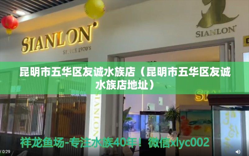 昆明市五華區(qū)友誠水族店（昆明市五華區(qū)友誠水族店地址）