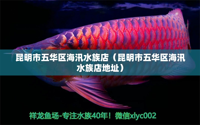 昆明市五華區(qū)海汛水族店（昆明市五華區(qū)海汛水族店地址）