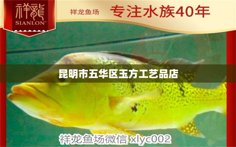 昆明市五華區(qū)玉方工藝品店 全國水族館企業(yè)名錄