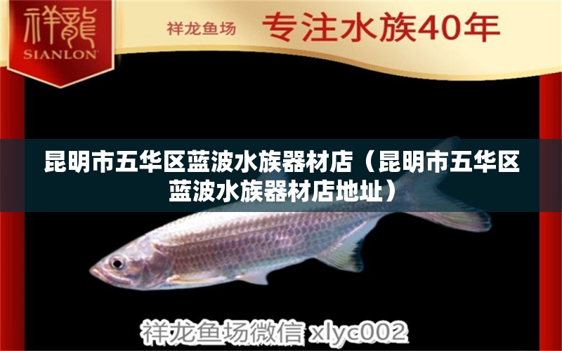 昆明市五華區(qū)藍(lán)波水族器材店（昆明市五華區(qū)藍(lán)波水族器材店地址）