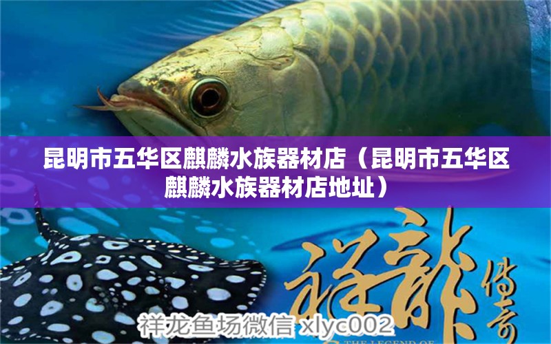 昆明市五華區(qū)麒麟水族器材店（昆明市五華區(qū)麒麟水族器材店地址）