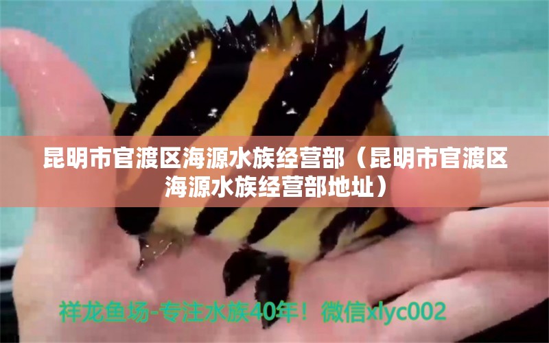 昆明市官渡區(qū)海源水族經(jīng)營(yíng)部（昆明市官渡區(qū)海源水族經(jīng)營(yíng)部地址）