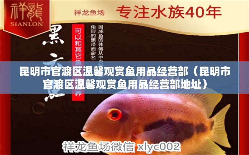 昆明市官渡區(qū)溫馨觀賞魚(yú)用品經(jīng)營(yíng)部（昆明市官渡區(qū)溫馨觀賞魚(yú)用品經(jīng)營(yíng)部地址）