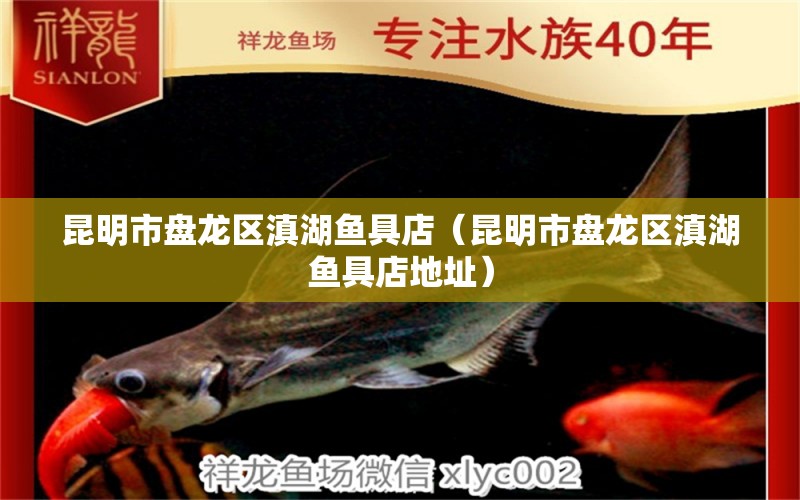 昆明市盤龍區(qū)滇湖魚具店（昆明市盤龍區(qū)滇湖魚具店地址） 全國水族館企業(yè)名錄