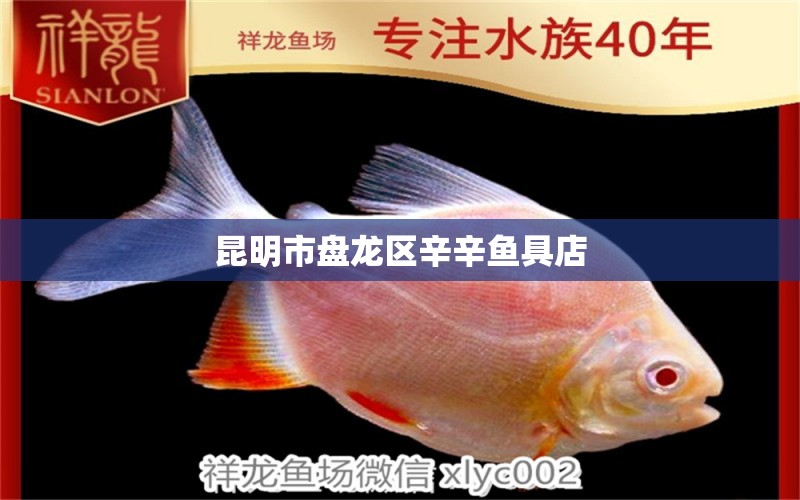 昆明市盤龍區(qū)辛辛魚具店 全國水族館企業(yè)名錄 第1張