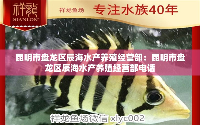 昆明市盤龍區(qū)辰海水產(chǎn)養(yǎng)殖經(jīng)營部：昆明市盤龍區(qū)辰海水產(chǎn)養(yǎng)殖經(jīng)營部電話