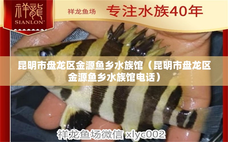 昆明市盤龍區(qū)金源魚鄉(xiāng)水族館（昆明市盤龍區(qū)金源魚鄉(xiāng)水族館電話） 全國水族館企業(yè)名錄