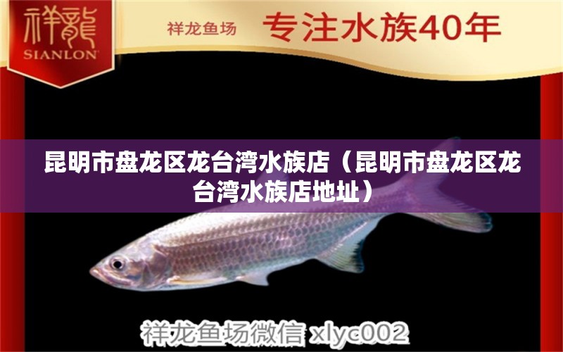 昆明市盤龍區(qū)龍臺(tái)灣水族店（昆明市盤龍區(qū)龍臺(tái)灣水族店地址）