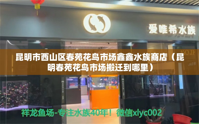 昆明市西山區(qū)春苑花鳥市場鑫鑫水族商店（昆明春苑花鳥市場搬遷到哪里） 全國水族館企業(yè)名錄