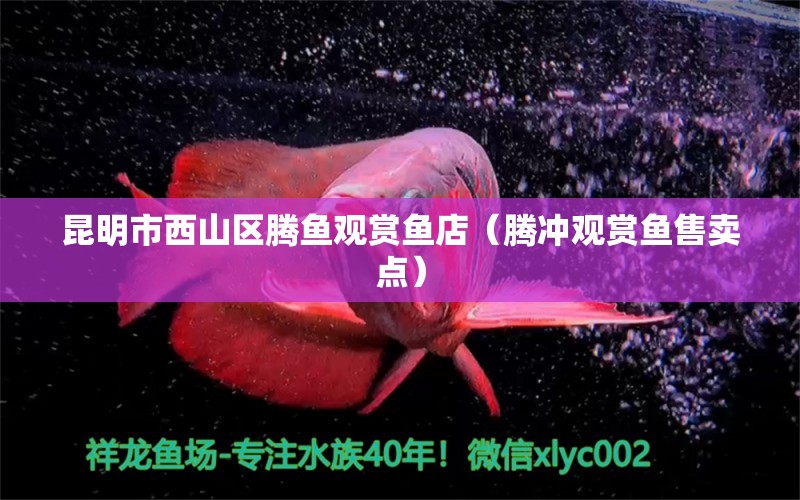 昆明市西山區(qū)騰魚觀賞魚店（騰沖觀賞魚售賣點(diǎn)）