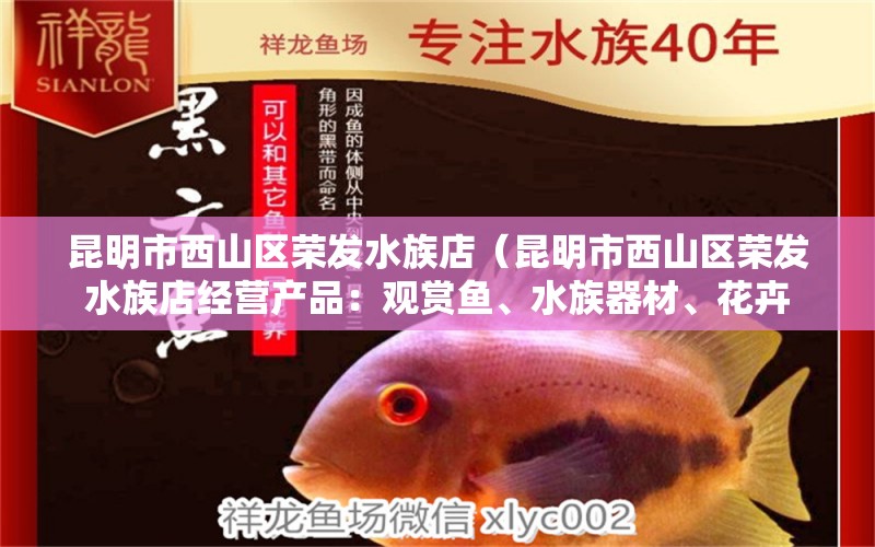 昆明市西山區(qū)榮發(fā)水族店（昆明市西山區(qū)榮發(fā)水族店經(jīng)營產(chǎn)品：觀賞魚、水族器材、花卉 全國觀賞魚市場 第2張