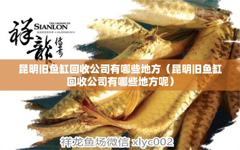 昆明舊魚缸回收公司有哪些地方（昆明舊魚缸回收公司有哪些地方呢）