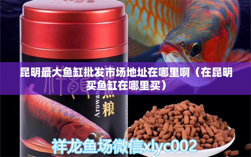 昆明最大魚缸批發(fā)市場地址在哪里?。ㄔ诶ッ髻I魚缸在哪里買）