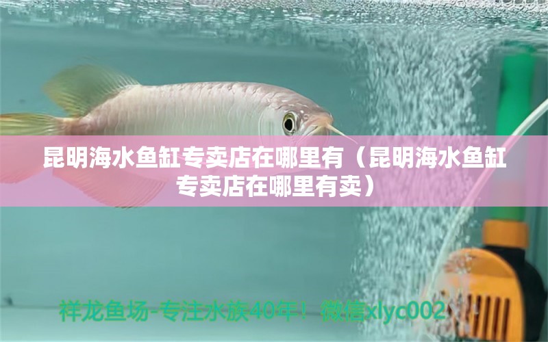 昆明海水魚缸專賣店在哪里有（昆明海水魚缸專賣店在哪里有賣） 海水魚