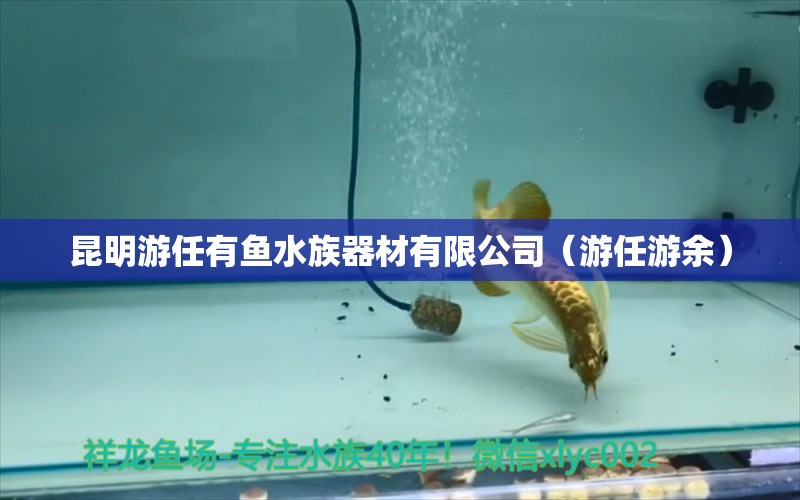 昆明游任有魚水族器材有限公司（游任游余）