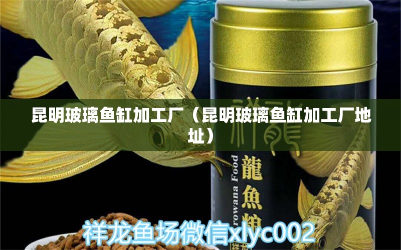 昆明玻璃魚缸加工廠（昆明玻璃魚缸加工廠地址） 薩伊藍(lán)魚