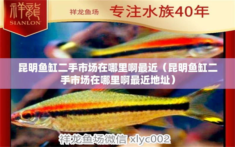 昆明魚(yú)缸二手市場(chǎng)在哪里啊最近（昆明魚(yú)缸二手市場(chǎng)在哪里啊最近地址）