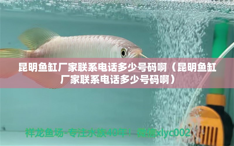 昆明魚缸廠家聯(lián)系電話多少號(hào)碼?。ɡッ黥~缸廠家聯(lián)系電話多少號(hào)碼?。? title=