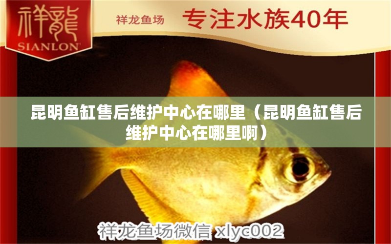 昆明魚缸售后維護(hù)中心在哪里（昆明魚缸售后維護(hù)中心在哪里?。?其他品牌魚缸