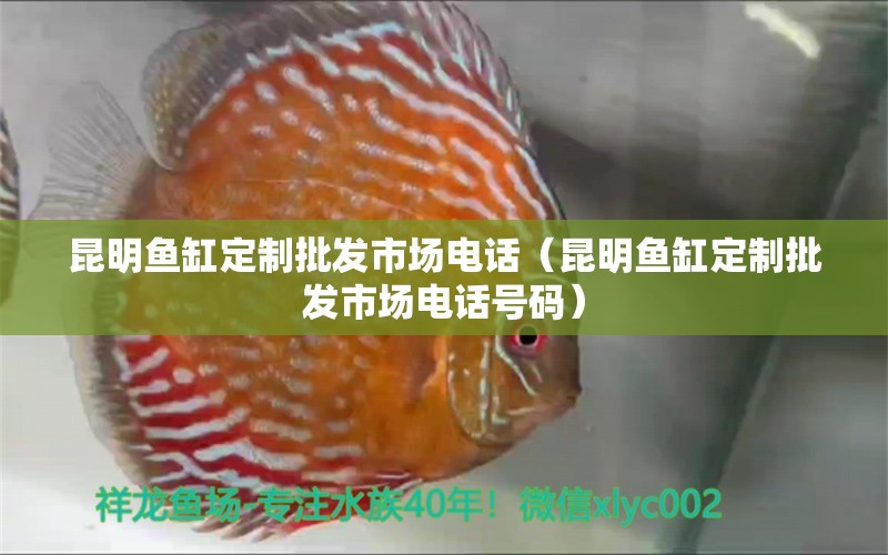 昆明魚缸定制批發(fā)市場(chǎng)電話（昆明魚缸定制批發(fā)市場(chǎng)電話號(hào)碼） 其他品牌魚缸